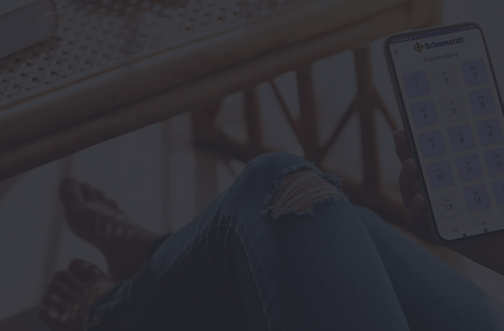 Secondary Video Thumbnail